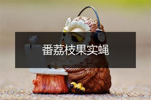 番荔枝果实蝇