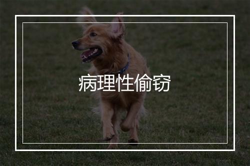 病理性偷窃