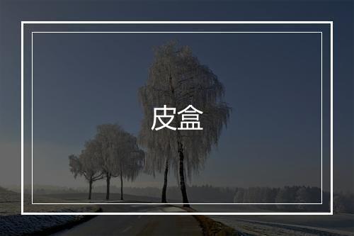 皮盒