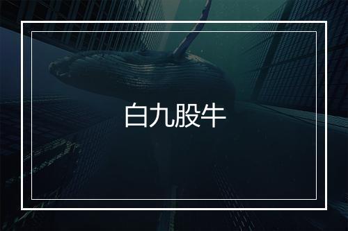 白九股牛