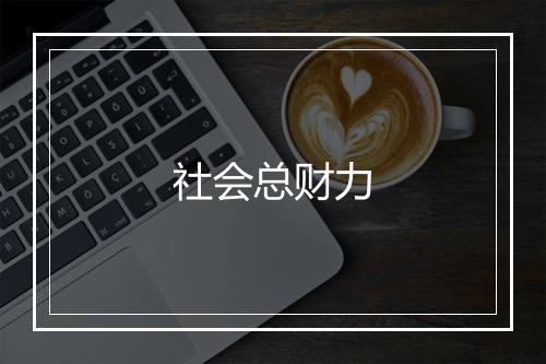 社会总财力