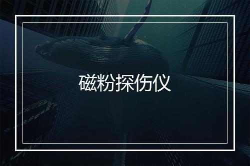 磁粉探伤仪