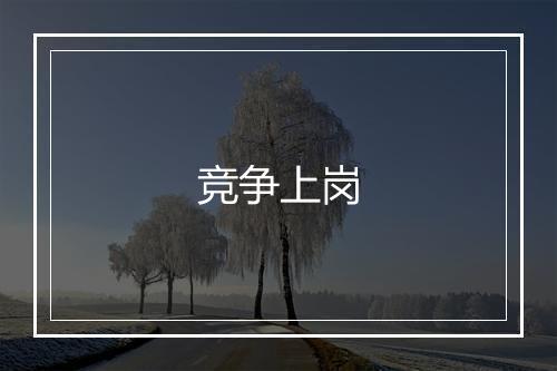 竞争上岗