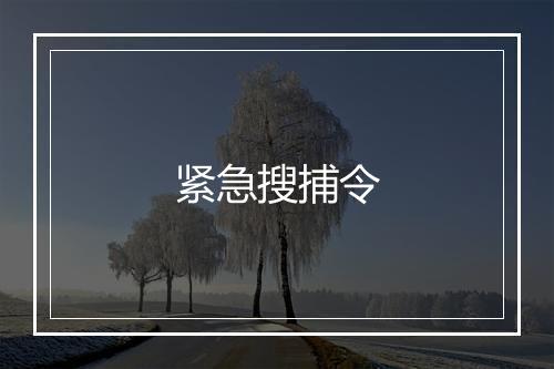 紧急搜捕令