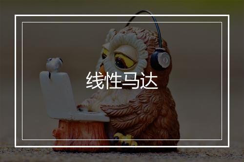 线性马达