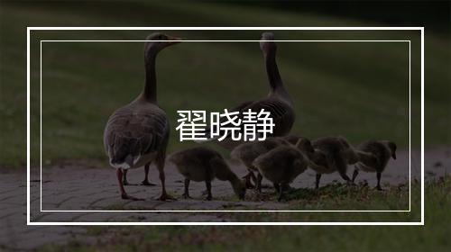 翟晓静