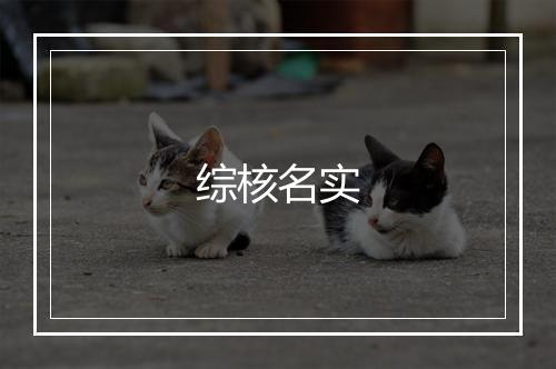 综核名实