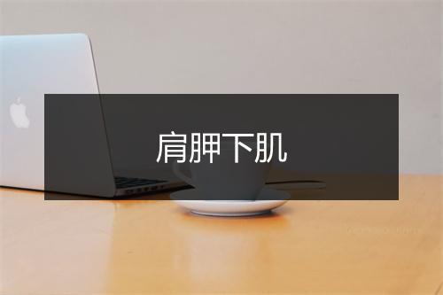 肩胛下肌