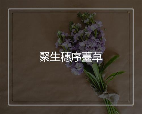 聚生穗序薹草