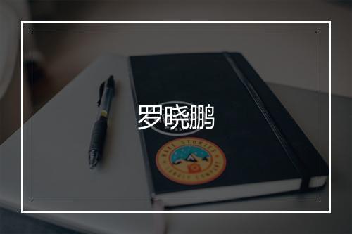 罗晓鹏