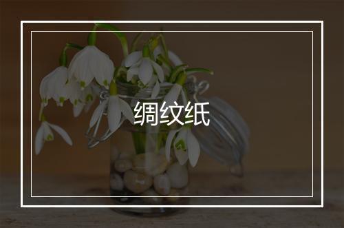 绸纹纸