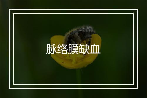 脉络膜缺血