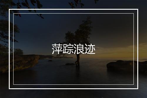 萍踪浪迹