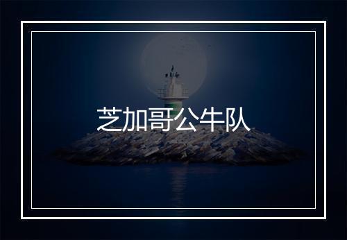 芝加哥公牛队