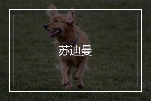 苏迪曼