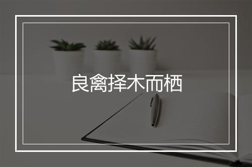 良禽择木而栖