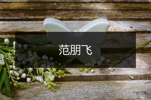 范朋飞