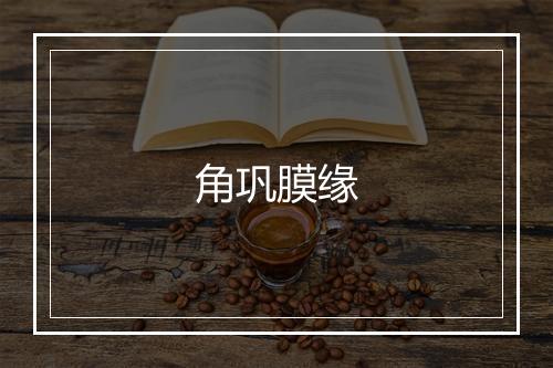 角巩膜缘