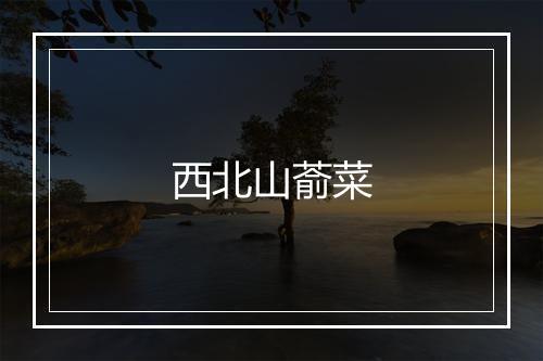 西北山萮菜