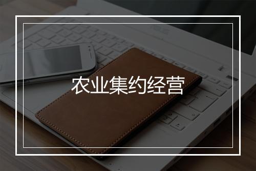 农业集约经营