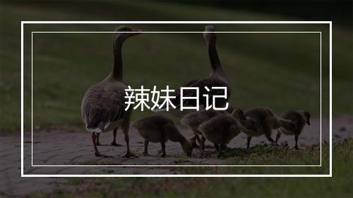 辣妹日记