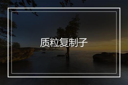 质粒复制子