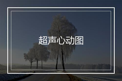 超声心动图