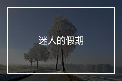 迷人的假期