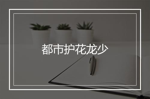 都市护花龙少