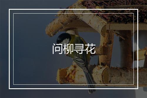 问柳寻花