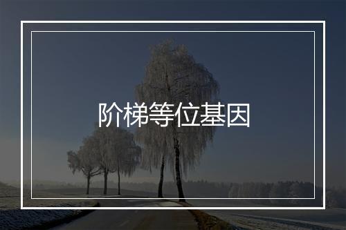 阶梯等位基因