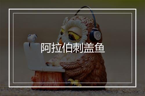 阿拉伯刺盖鱼