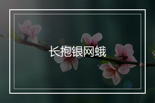 长抱银网蛾