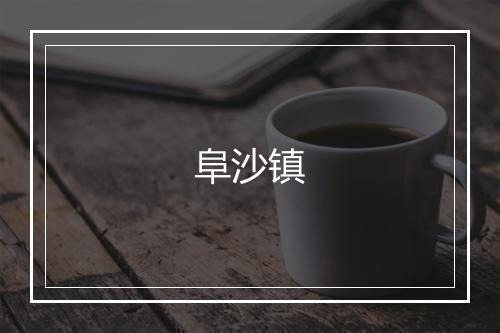 阜沙镇