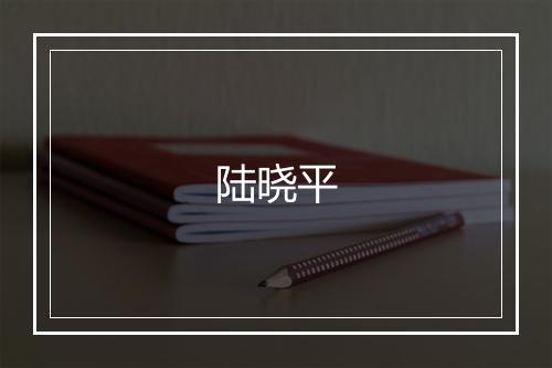 陆晓平