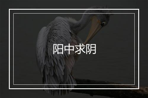 阳中求阴