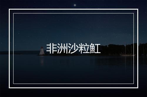 非洲沙粒魟