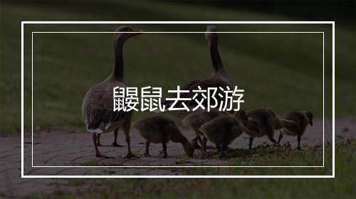 鼹鼠去郊游