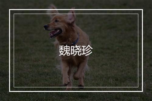 魏晓珍