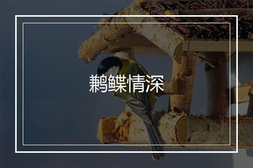 鹣鲽情深