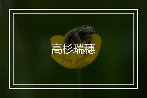 高杉瑞穗