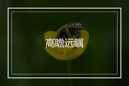 高瞻远瞩