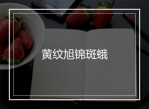 黄纹旭锦斑蛾