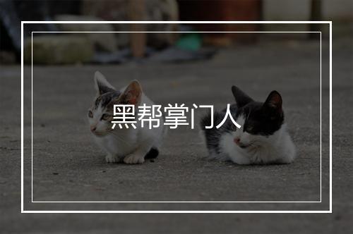 黑帮掌门人