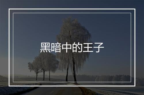 黑暗中的王子