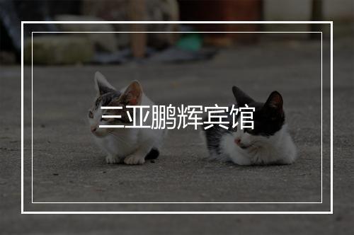 三亚鹏辉宾馆