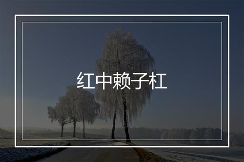 红中赖子杠