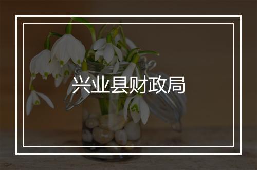 兴业县财政局