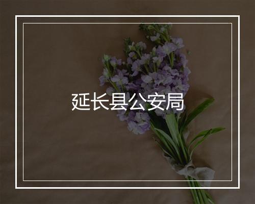 延长县公安局