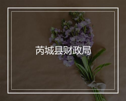 芮城县财政局